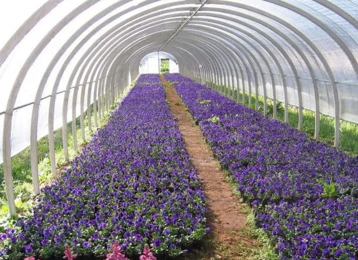 空氣源熱泵供暖效果驚人，花卉溫室節(jié)能30-40% 