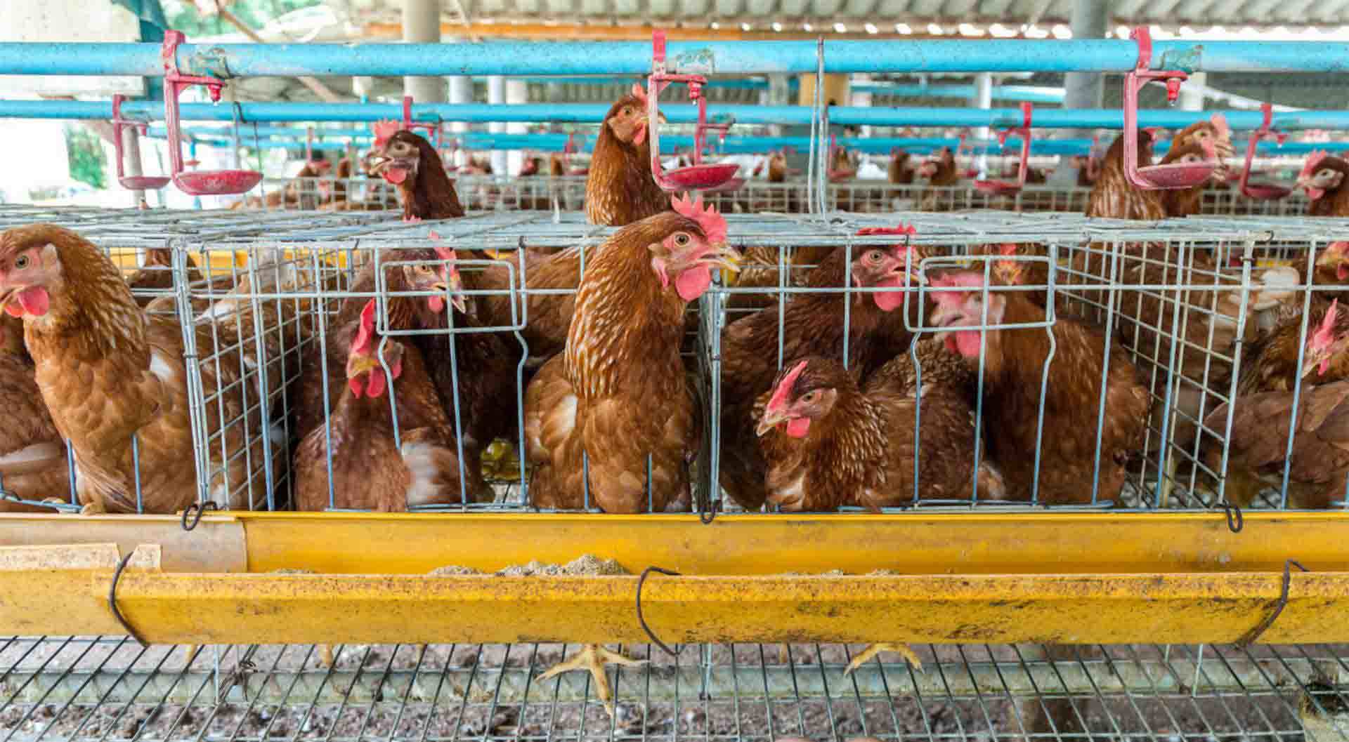 傳統(tǒng)解決方案